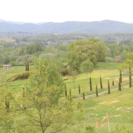 Fattoria Tabarrino Farm stay Arezzo