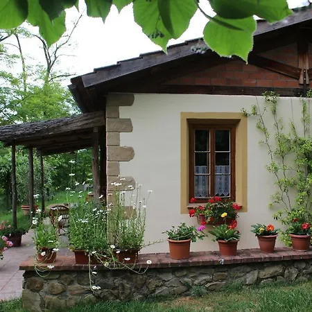 Fattoria Tabarrino Arezzo